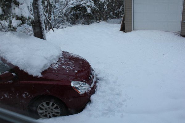 New Camera Dec2010 163